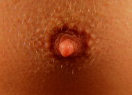 breast-nipple